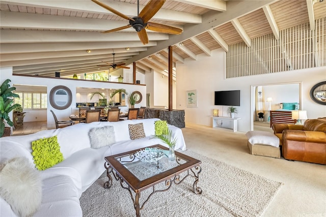 living room with beamed ceiling, ceiling fan, high vaulted ceiling, and carpet