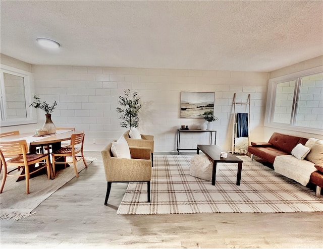 85-114 Ala Walua St Unit F, Waianae, HI 96792 - living room with a textured ceiling, wood finished floors, and concrete block wall