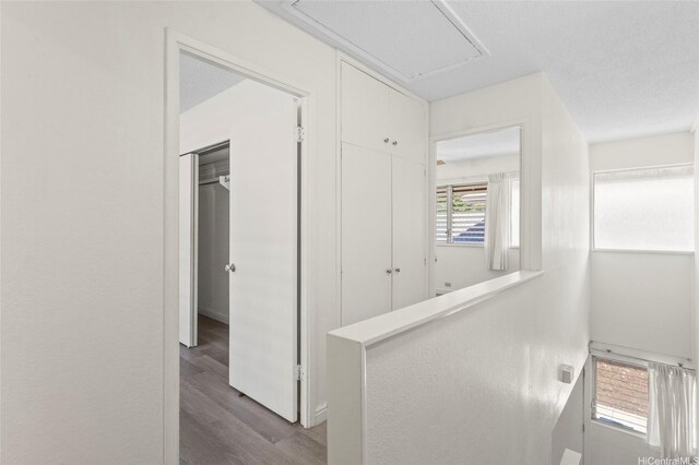 hallway with attic access and dark wood-style flooring