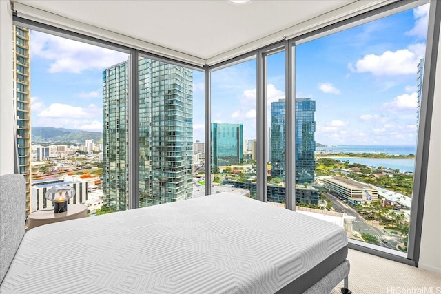 1000 Auahi St Unit 2410, Honolulu, HI 96814 - bedroom featuring a view of city, floor to ceiling windows, carpet, and a water view