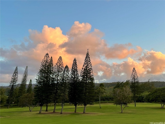 57-101 Kuilima Dr Unit 132F, Kahuku, HI 96731 - view of community with a lawn