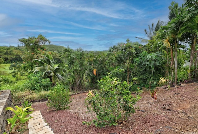 103 Kahako St Unit A, Kailua, HI 96734 - view of undeveloped land