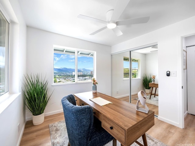 1129 Ala Aloalo St, Honolulu, HI 96818 - home office with ceiling fan, baseboards, and light wood finished floors