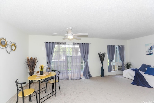 interior space with ceiling fan and a textured ceiling