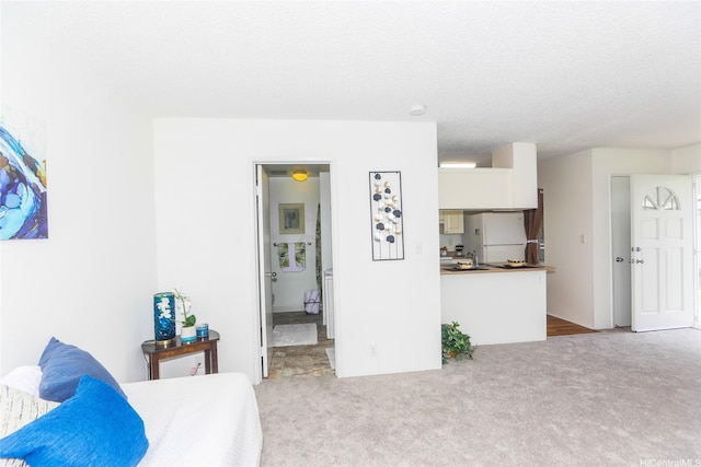 bedroom featuring freestanding refrigerator, a textured ceiling, and carpet flooring