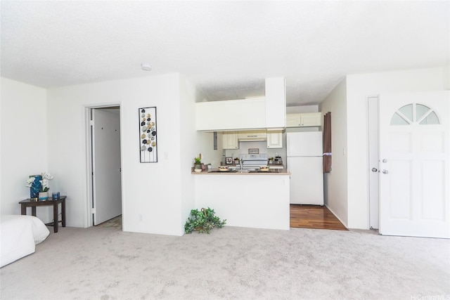 living area featuring carpet