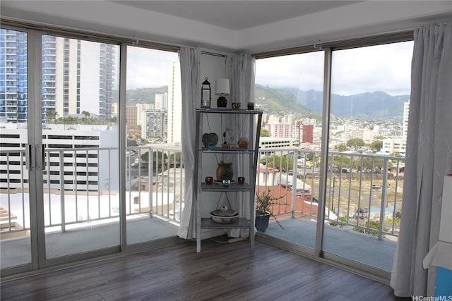 entryway featuring a view of city, wood finished floors, and a mountain view