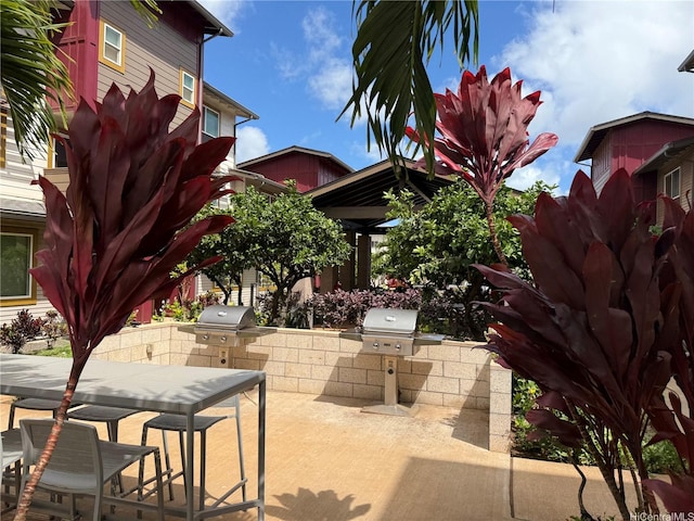 91-3575 Iwikuamoo St Unit 509, Ewa Beach, HI 96706 - view of patio featuring exterior kitchen