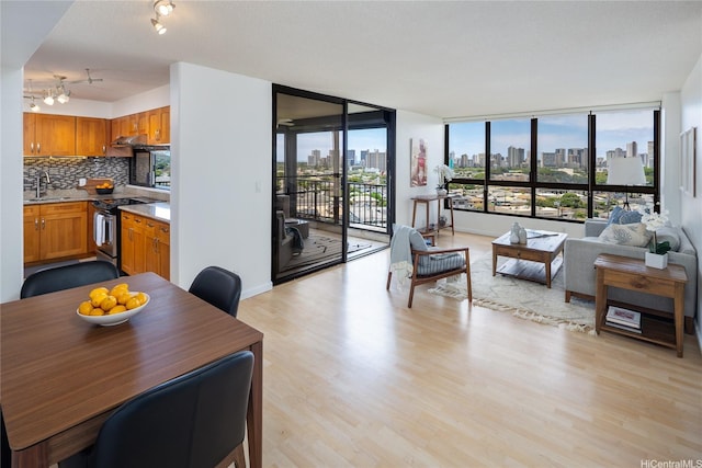 3138 Waialae Ave Unit 918, Honolulu, HI 96816 - living area featuring a skyline view and light wood-type flooring