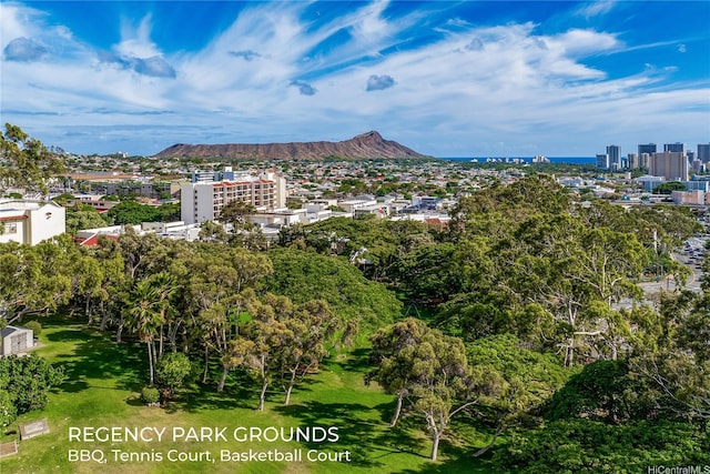 3138 Waialae Ave Unit 918, Honolulu, HI 96816 - mountain view featuring nearby urban area