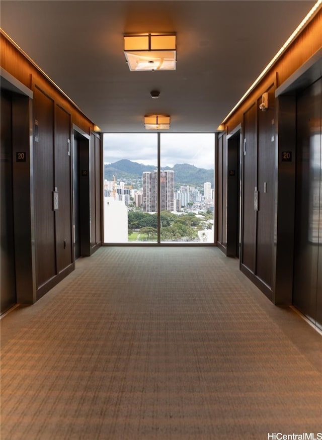 interior space featuring a wall of windows, elevator, carpet, and a mountain view