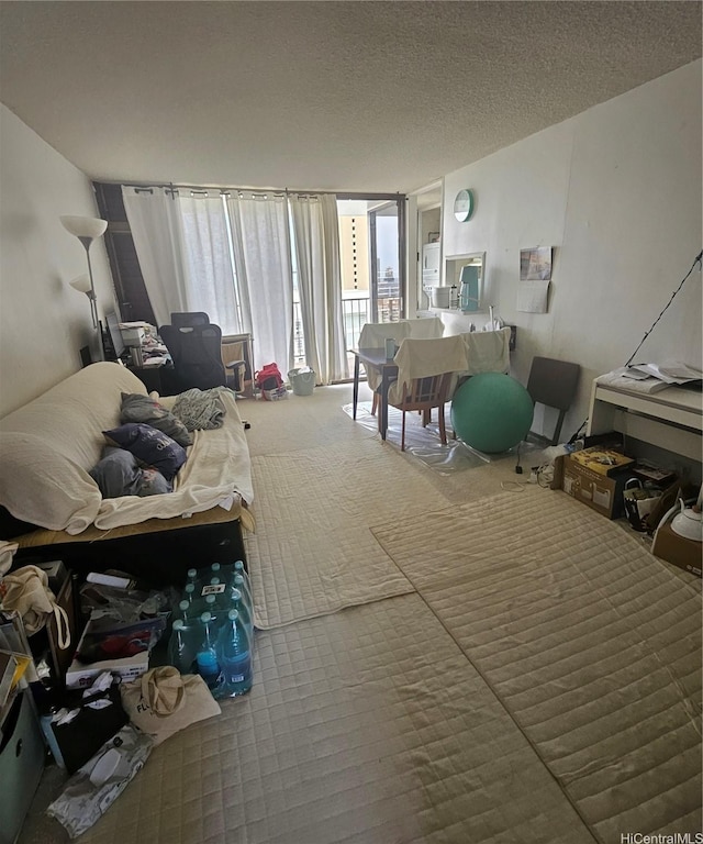 living area with carpet and a textured ceiling