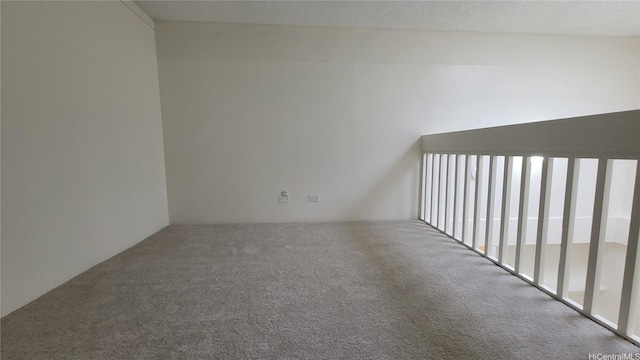 unfurnished room featuring carpet floors