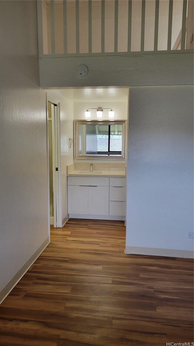 interior space featuring baseboards, vanity, and wood finished floors