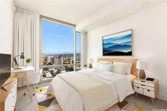 carpeted bedroom with expansive windows