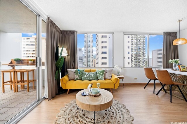2427 Kuhio Ave Unit 906, Honolulu, HI 96815 - living room featuring a view of city and wood finished floors