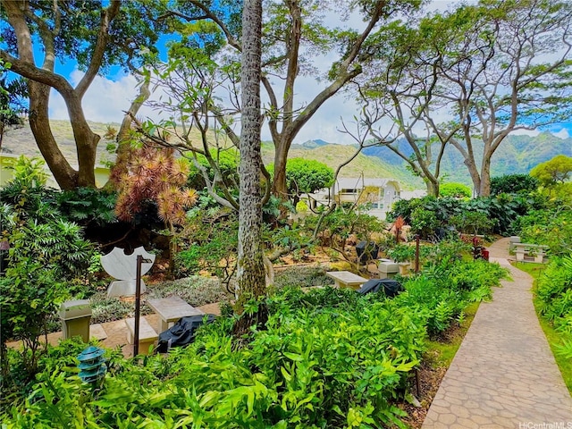 555 Hahaione St Unit 10F, Honolulu, HI 96825 - view of community with a mountain view