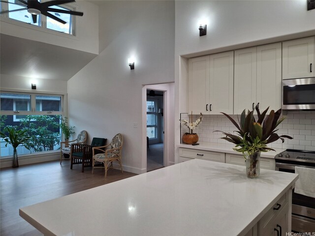 kitchen featuring backsplash, a high ceiling, appliances with stainless steel finishes, and wood finished floors
