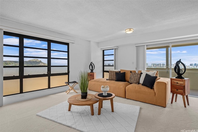 3350 Sierra Dr Unit 601, Honolulu, HI 96816 - living room with carpet flooring and a textured ceiling