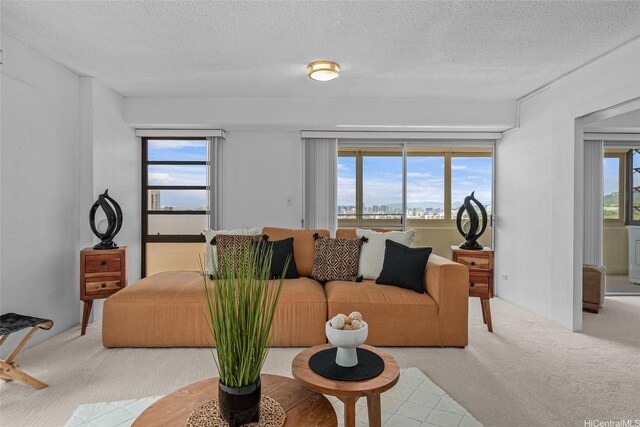 3350 Sierra Dr Unit 601, Honolulu, HI 96816 - carpeted living room featuring a textured ceiling