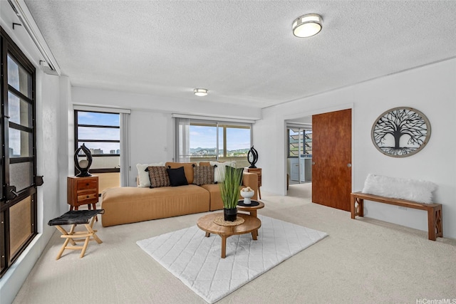3350 Sierra Dr Unit 601, Honolulu, HI 96816 - carpeted living area with a textured ceiling and a healthy amount of sunlight