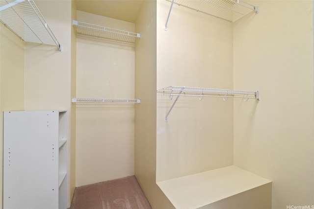walk in closet with carpet