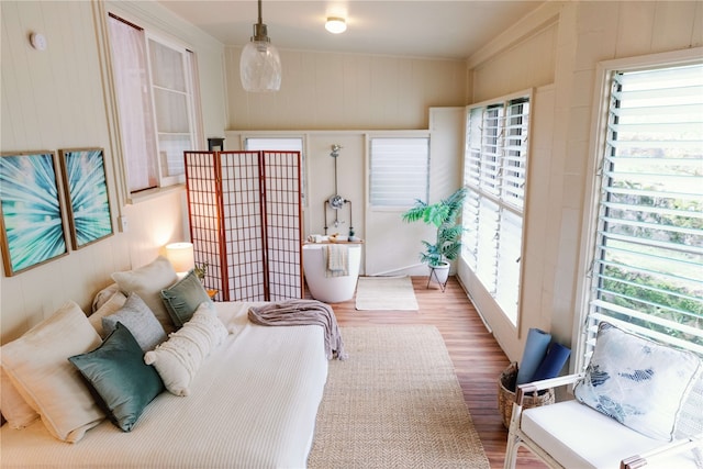 interior space featuring multiple windows and wood finished floors