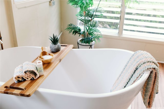 details featuring a soaking tub