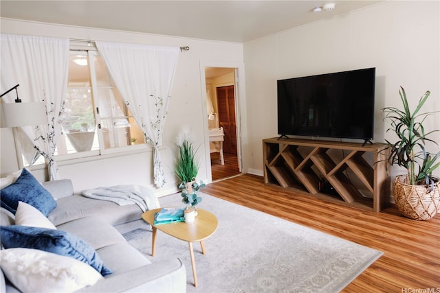 living room with wood finished floors