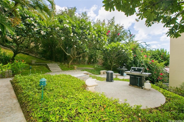 6770 Hawaii Kai Dr Unit 905, Honolulu, HI 96825 - view of yard featuring a patio area