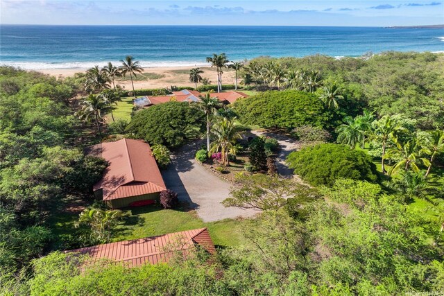 2944 Kalua Koi Rd, Maunaloa, HI 96770 - photo 23