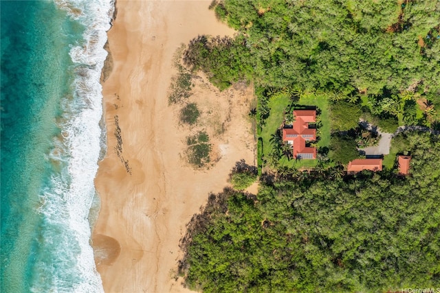 2944 Kalua Koi Rd, Maunaloa, HI 96770 - photo 2