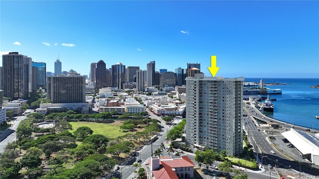 aerial view with a water view and a city view