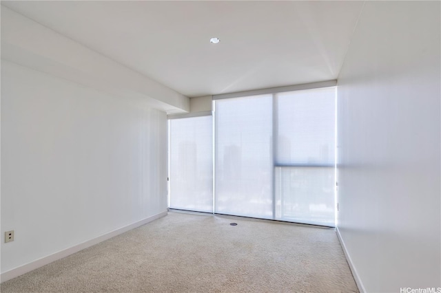unfurnished room featuring expansive windows, carpet floors, and baseboards