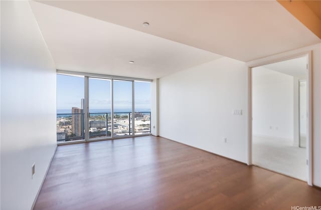 empty room featuring expansive windows and wood finished floors