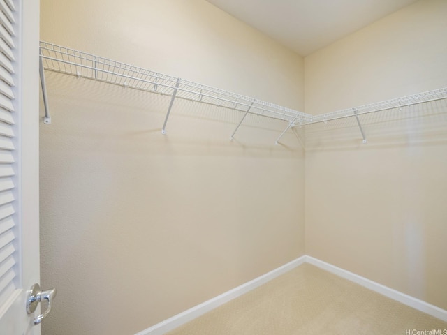 walk in closet with light carpet
