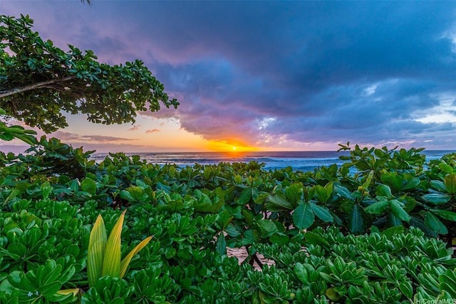 59-75 Hoalua St, Haleiwa, HI 96712 - nature at dusk featuring a water view