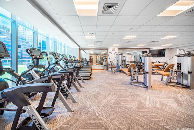 workout area featuring a paneled ceiling, visible vents, and light carpet