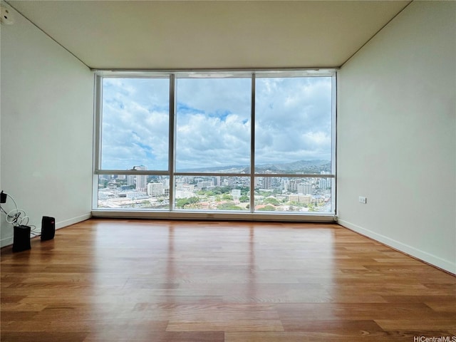 unfurnished living room featuring expansive windows, wood finished floors, and a healthy amount of sunlight