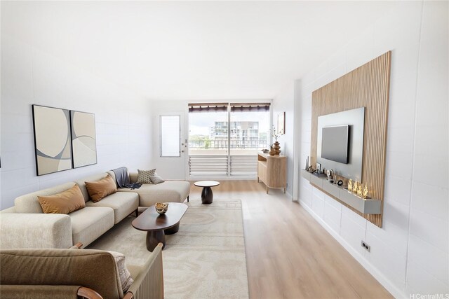 living room featuring light wood finished floors