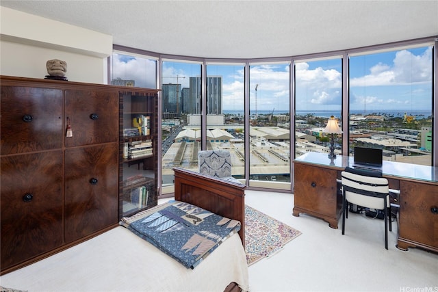 425 S St Unit 1401, Honolulu, HI 96813 - carpeted office space with expansive windows and a view of city