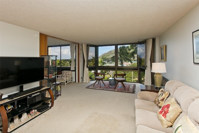 521 Hahaione St Unit 2-6J, Honolulu, HI 96825 - living room with carpet flooring, floor to ceiling windows, and a textured ceiling