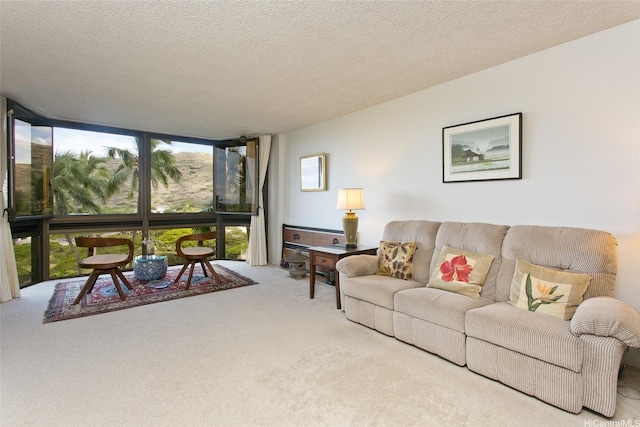 521 Hahaione St Unit 2-6J, Honolulu, HI 96825 - carpeted living area with floor to ceiling windows and a textured ceiling