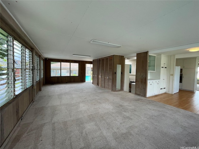 empty room featuring wooden walls and light colored carpet