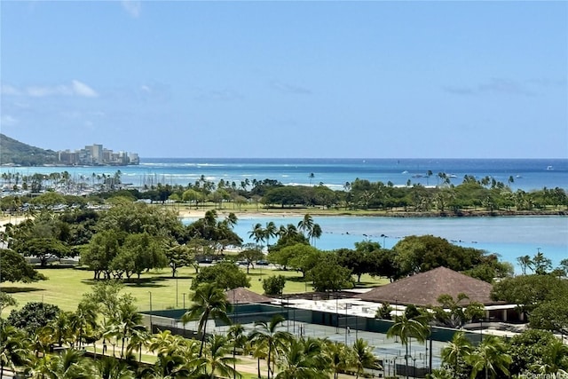 1108 Auahi St Unit 1001, Honolulu, HI 96814 - water view