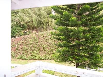 95-660 Wikao St Unit K206, Mililani, HI 96789 - view of yard
