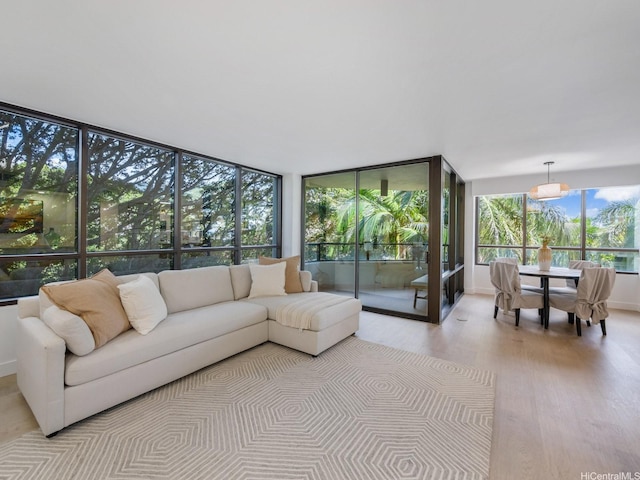 1525 Wilder Ave Unit 502, Honolulu, HI 96822 - living area with light wood-type flooring and a wall of windows