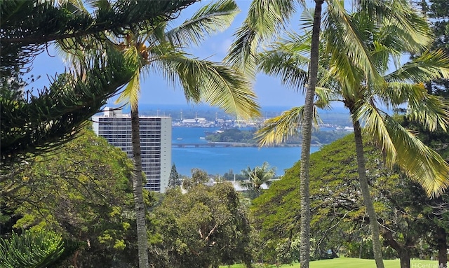 98-685 Kaonohi St Unit E, Aiea, HI 96701 - water view