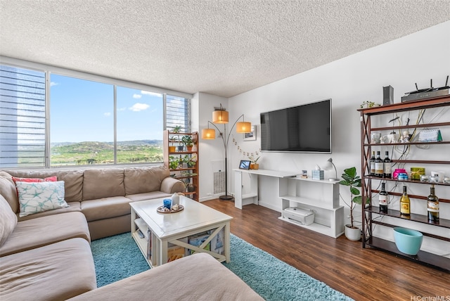 living area with a textured ceiling and wood finished floors