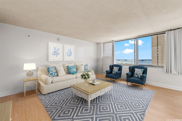 living room with a textured ceiling, wood finished floors, and baseboards